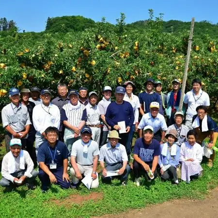 りんご【数量限定・先行予約】岩手が生んだ究極のりんご 冬恋はるか 2.5kg【570】