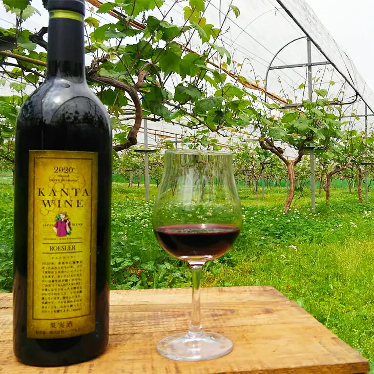 ロースラー ワイン KANTA WINE 2024（赤） 750ml×2本セット 【967】