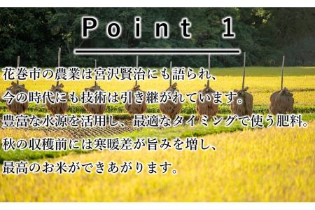 【12ヶ月定期便】銀河のしずく白米3㎏ 【1033】