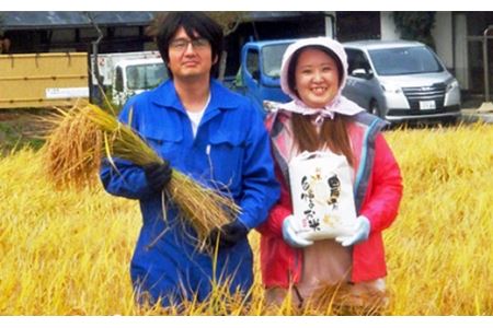 ≪令和7年産≫【12ヶ月定期便】減農薬栽培 ひとめぼれ 玄米 10kg（5kgx2袋） 【1113】