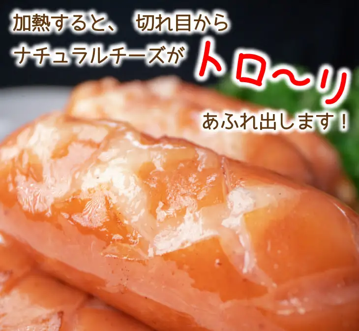 チーズでるソーセージ（5袋セット） 【1170】