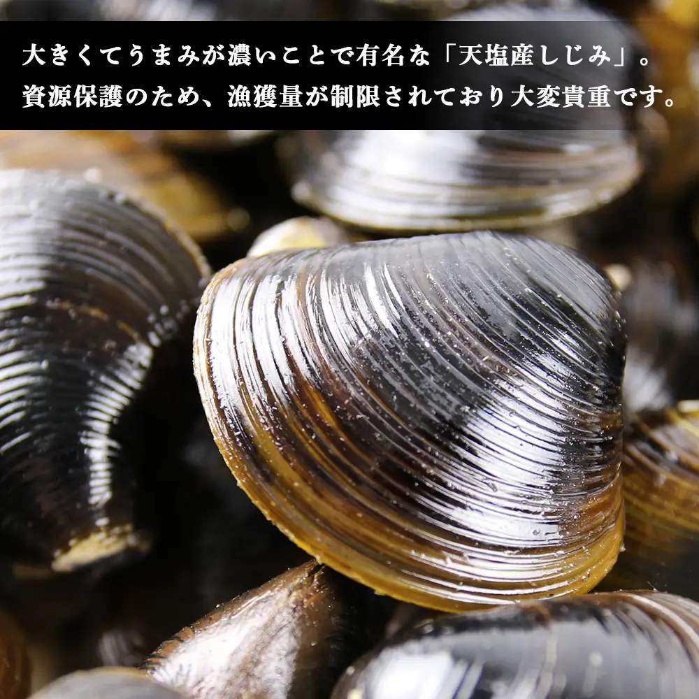 天塩町名産ボイルしじみ「使いやすい150gパック」10袋＜北るもい漁業協同組合 天塩支所＞