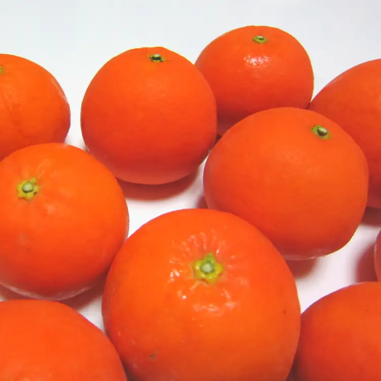 有田育ちの爽快セミノールオレンジ(ご家庭用)　約3kg+200g(補償分)　【2027年4月上旬～5月下旬頃に順次発送予定】【ard024A】