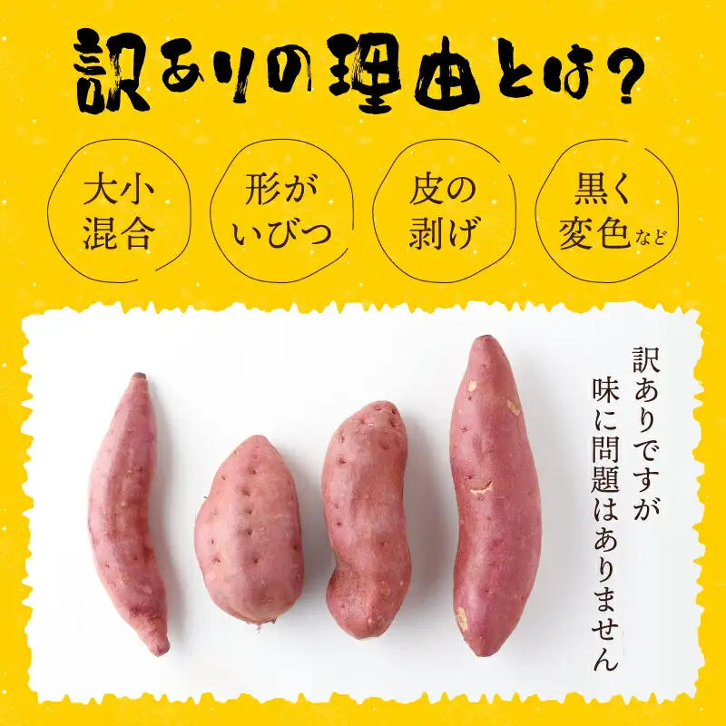 さつまいも 1月お届け 西山きんとき芋 サツマイモ 訳あり 10kg