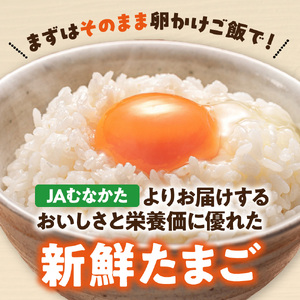新鮮 赤卵「宗像たまご」Mサイズ 60個（55個＋補償5個）【JAほたるの里】_HA0916