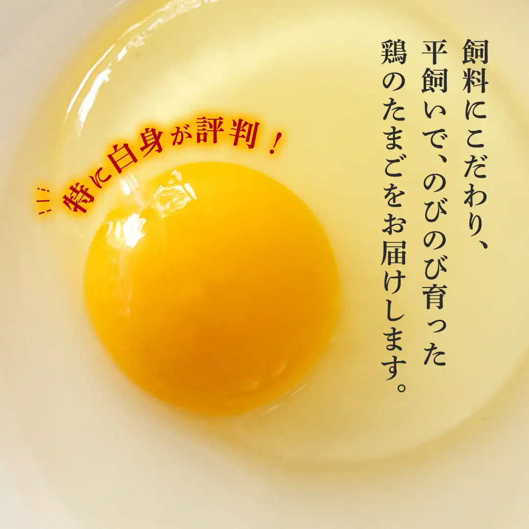 枝さんちのたまご(M～L20個) 産地直送  餌にこだわり 平飼いでのびのび育った卵 卵 非遺伝子組換え 7000 [BT001sa]