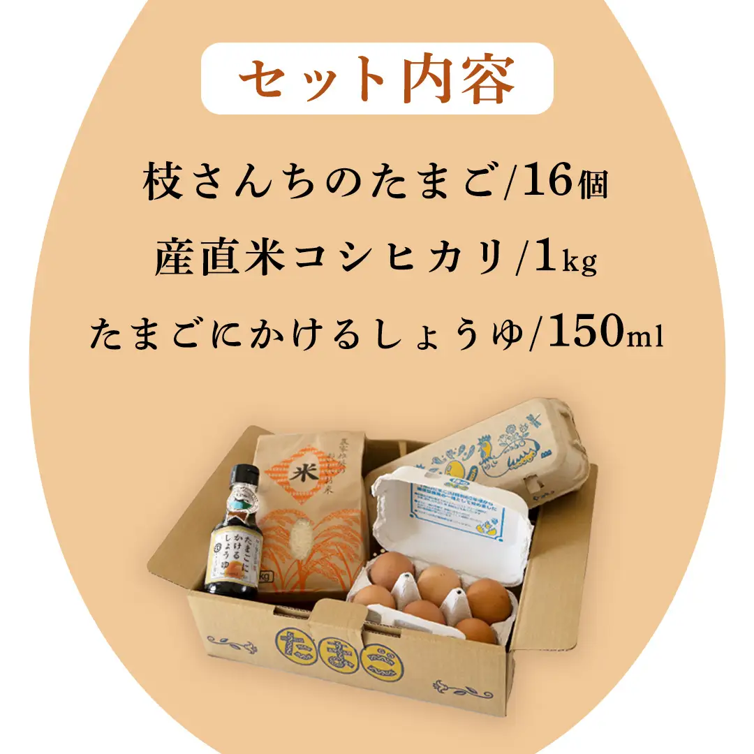 たまごかけご飯セット 卵 玉子 たまご 生卵 鶏卵 タマゴ しょうゆ 醤油 米 コシヒカリ 白米 精米 産地直送 平飼い お取り寄せ 詰め合わせ TKG 卵かけごはん 新生活 一人暮らし 桜川市産 茨城県産 [BT002sa]