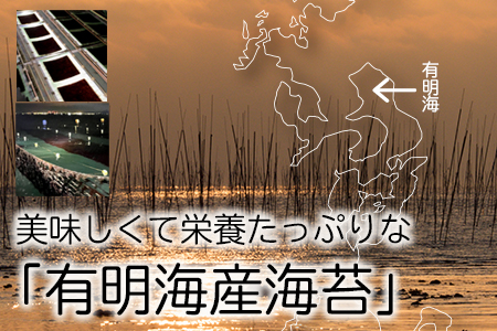 有明海産 焼き海苔 10枚×10P 株式会社羽根《60日以内に出荷予定(土日祝除く)》熊本県産 焼きのり 乾のり のり 海苔 有明海苔
