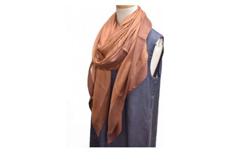 No.255 シルク カシミヤストール　「Frame」 brown【n0255_mut_A】