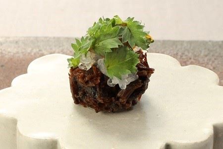 〈Miyawaka Soukatei〉Menu Dejeuner（お昼のコース）【1名様】お食事券　[Ｍ394]　ランチ 昼食 Menu Dejeuner お昼のコース 1名様 コース料理 フランス料理 季節の食材 野菜 旬 地産地消