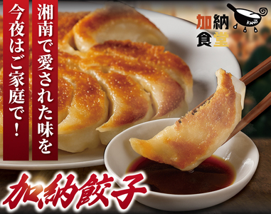 餃子 50個 餃子