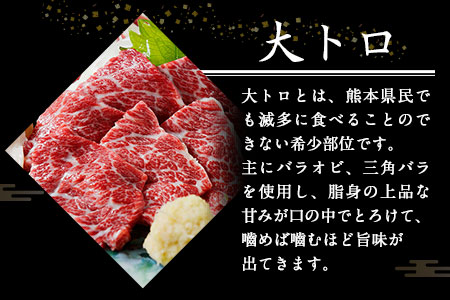 大トロ馬刺し・中トロ(霜降り)馬刺し食べ比べコース【純国産熊本肥育】大トロ馬刺し(50g)、中トロ(霜降り)馬刺し(50g)《30日以内に出荷予定(土日祝除く)》送料無料 ふるさと納税 美味しい馬刺し 熊本馬刺し くまもと馬刺し 特産馬刺し st-p