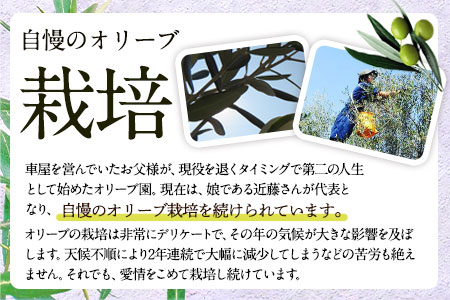 荒尾市産100％ エキストラバージンオリーブオイル 2本セット 荒尾オリーブファーム合同会社《30日以内に出荷予定(土日祝除く)》 st-p