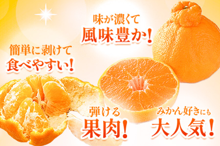 不知火 デコみかん ( デコポンと同品種 ) 不知火 ご家庭用  熊本県産 ( 荒尾市産含む ) 《2月上旬-4月上旬頃出荷》訳あり 約 5kg (12-24玉前後) 柑橘 みかん フルーツ 不知火 訳あり 訳アリ でこみかん 果物 熊本県産 美味しい不知火 旬の不知火 ジューシー不知火 フルーツ不知火