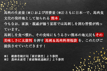 純国産馬刺し＆馬肉料理福袋 計1kg 熊本肥育 2年連続農林水産大臣賞受賞 送料無料 上赤身馬刺し100g たてがみ50g 馬とろ150g 馬ソーセージ500g 燻製 霜降り ハン馬ーグ200g(2個入り) タレ付き 熊本県荒尾市《90日以内に出荷予定(土日祝除く)》 美味しい馬刺し 熊本馬刺し くまもと馬刺し 特産馬刺し st-p