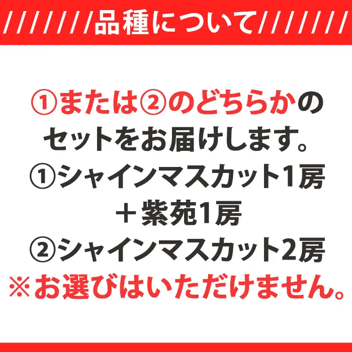 岡山県産冬ぶどう２房【2026年11月以降発送】（いばら愛菜館）