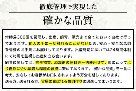 馬とろ 150g×3袋 馬刺 国産 熊本肥育 冷凍 肉 絶品  馬肉 予約 熊本県荒尾市《7-14日以内に出荷予定(土日祝除く)》 美味しい馬刺し 熊本馬刺し くまもと馬刺し 特産馬刺し
