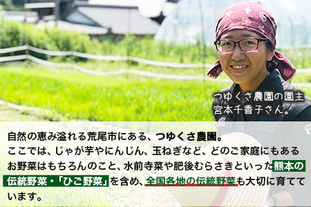 古代米 (赤米/黒米/緑米) 900g 熊本県荒尾市産 赤米300g×1袋 黒米300g×1袋 緑米300g×1袋 米 つゆくさ農園 《30日以内に出荷予定(土日祝除く)》 美味しい米 お米 熊本県産米 くまもと米