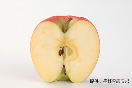 【9月中旬発送予定】長野生まれの新品種 シナノドルチェ 1箱(5㎏) 003-004