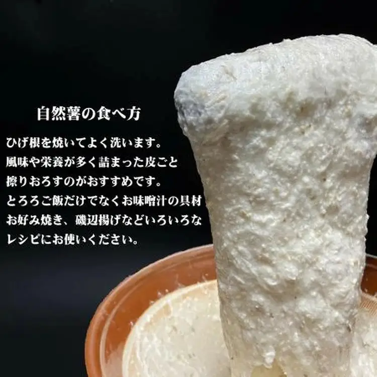 那須町産 自然薯 2kg 化粧箱入り | とろろ〔P-352〕 ※2026年12月～発送