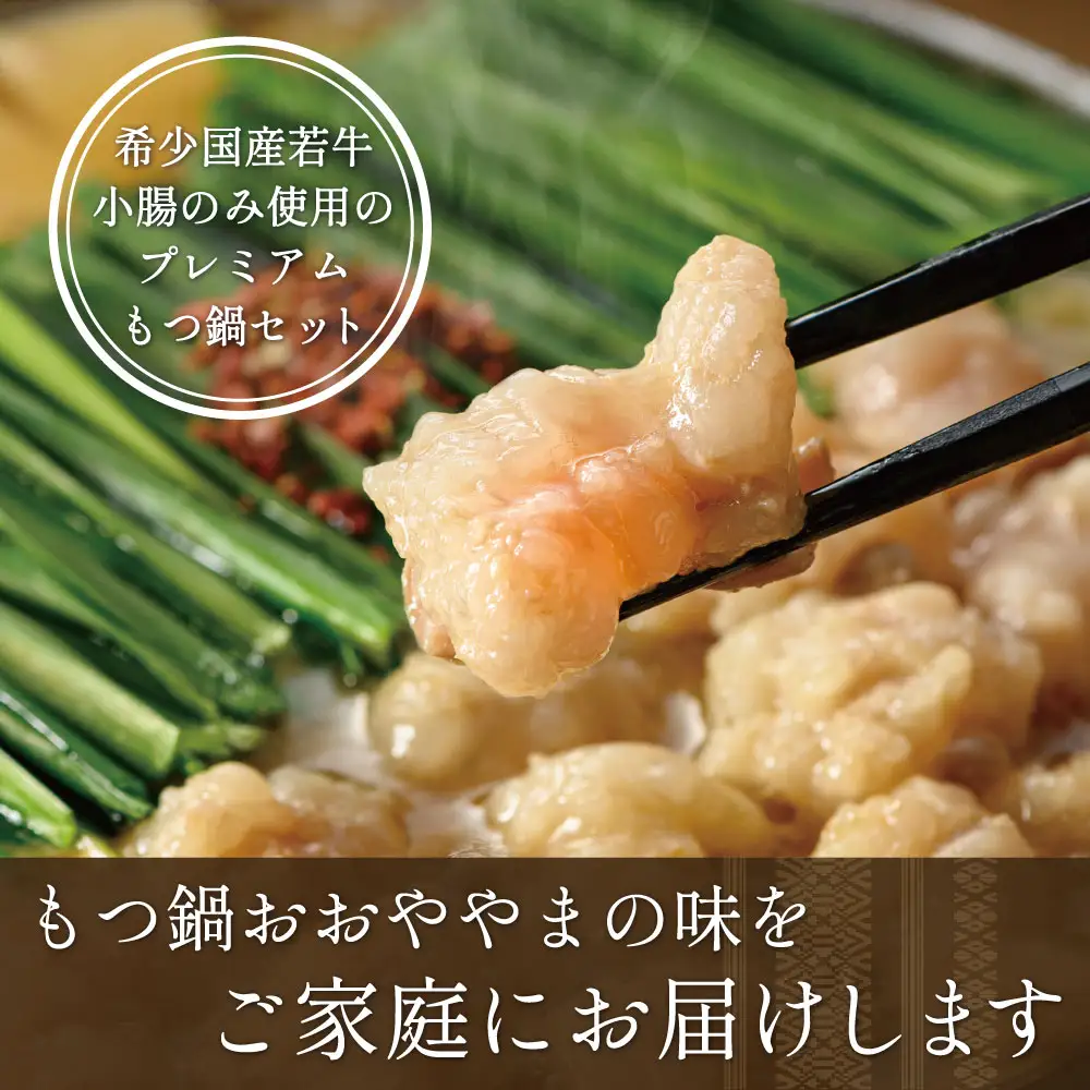 博多もつ鍋おおやま プレミアムもつ鍋 【みそ・しょうゆ食べ比べ8人前】 3Q9