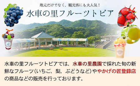 【先行予約】やかげのいちごギフトセット