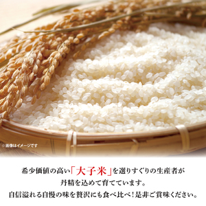 【ふるさと納税】大子町産コシヒカリ 生産者別10kg（5kg×2袋）｜茨城県 大子町 お米 白米 大子米 こしひかり（AJ008）