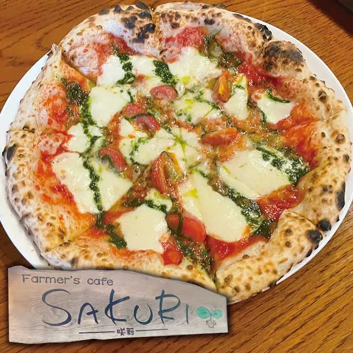 【Pizza】 本格 石釜焼き Pizza 2枚 ＜ マルゲリータ / チチニエリ ＞ ＆ 塩パン ＆ ソフトフランス セット 冷凍 ピザ 冷凍ピザ 人気ピザ ピザセット パンセット 石窯ピザ ちりめんじゃこ 大葉 ニンニク 059-0283
