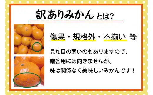 【訳あり】農家直送 有田みかん 約10kg ご家庭用 サイズ混合 ※2026年11月～2027年1月頃に順次発送予定（お届け日指定不可）※北海道・沖縄・離島への配送不可　訳ありみかん 温州みかんイズ混合 訳ありみかん 温州みかん 有機質肥料100% ふるさと納税 柑橘 有田 産地直送【nuk138H】