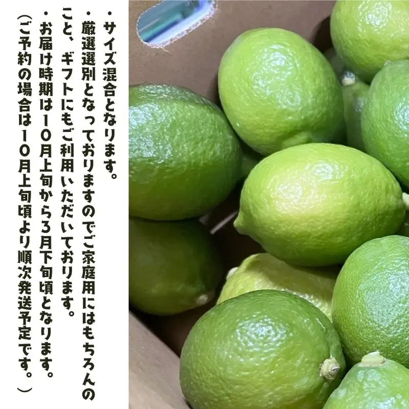 【国産】紀州和歌山 有田レモン 3kg+200g(痛み補償分) ※2026年9月下旬～2027年3月下旬に順次発送【ard032B】