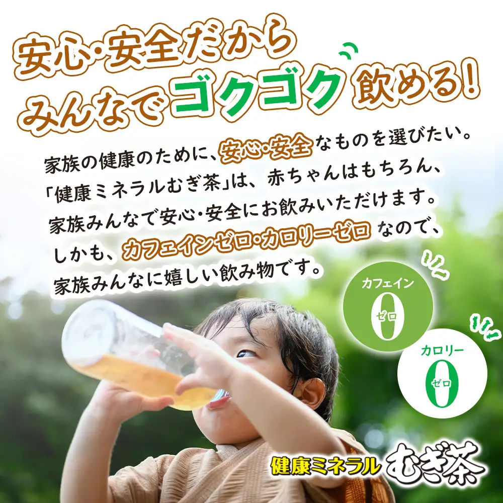 『定期便：全6回』健康ミネラル麦茶2L×6本×2箱【50000601】
