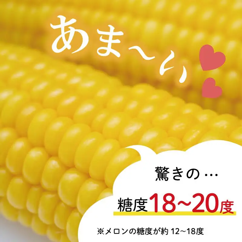 朝採れ とうもろこし スイートコーン 3Lサイズ キャンプ BBQ 人気 トウモロコシ 生 野菜 産地直送 朝どれ 甘い 期間限定 国産 旬 夏野菜