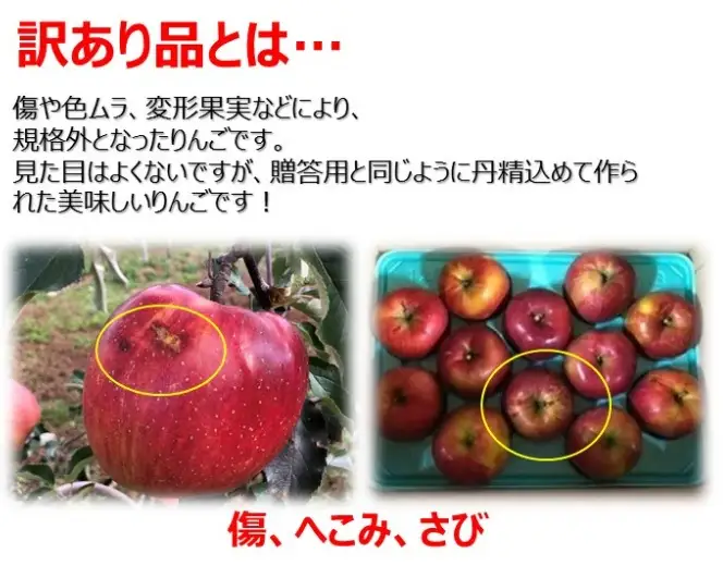 りんご 令和8年10月中旬頃発送 シナノスイート 訳あり 約5キロ！ 信濃三兄弟の一つ【016-31】