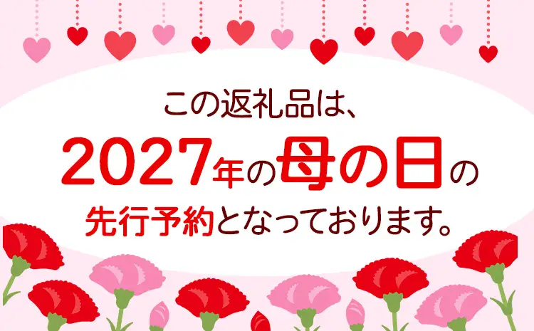 母の日 花 ギフト 母の日 フラワーアレンジメント (ミックス)  【北海道・沖縄・その他離島 配送不可】《2027年5月上旬-5月末頃出荷》椿原園
