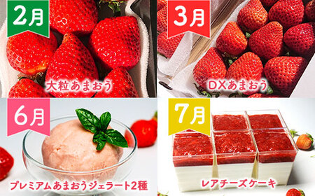 いちご 定期便 大粒 DXあまおう ジェラート 2種 レアチーズケーキ 6p いちご 【2027年発送】