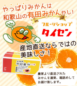【2026年先行予約】ご家庭用　和歌山 有田みかん 約10kg (2L、3Lサイズ)【湯浅町】_ZJ6079