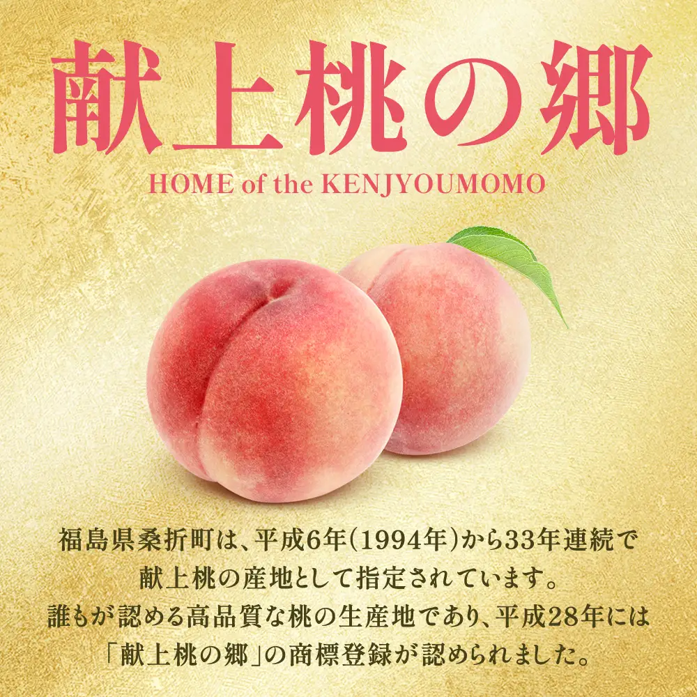 もも【あかつき・2026年産】特秀1.5kg「献上桃の郷ブランド品」桑折町産　JAふくしま未来　桃　献上桃の郷　【07301-0136】