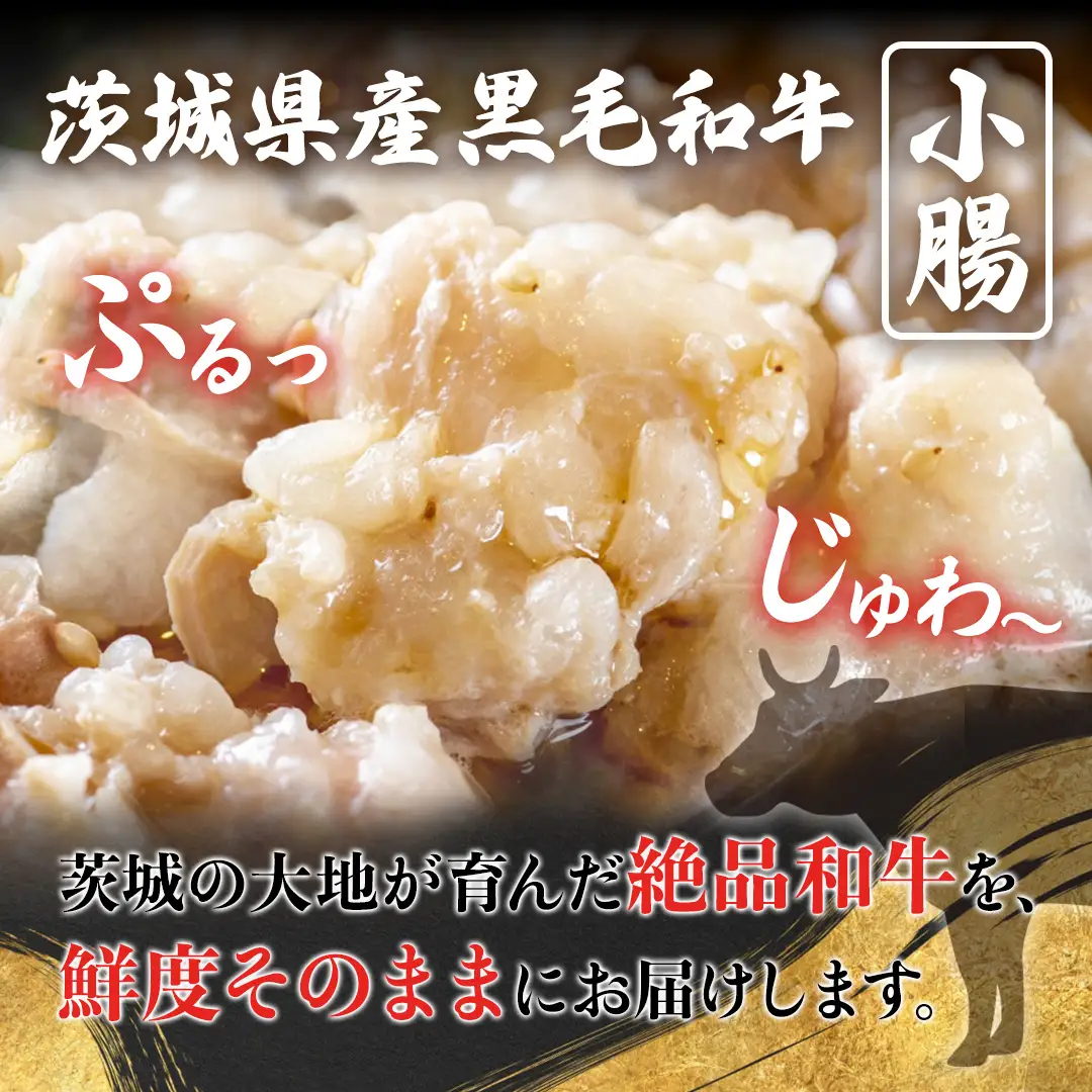 【茨城県産】 黒毛和牛 もつ鍋 焼肉用 小腸 1.2kg（200g×6パック） (茨城県共通返礼品) 国産 牛肉 肉 お肉 ホルモン もつ 焼肉