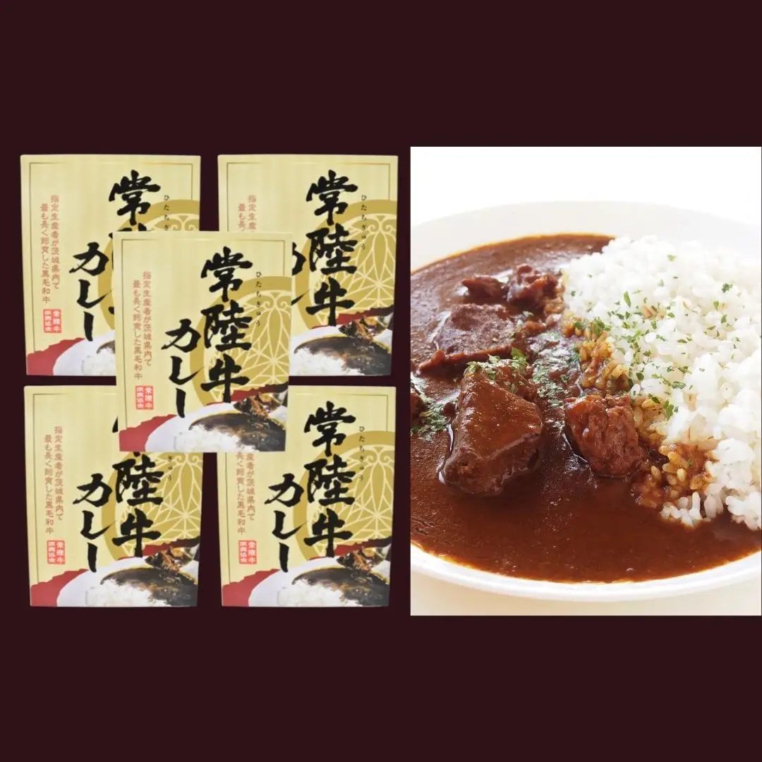 DH-13 【常陸牛】レトルトカレー（200g×5箱）