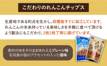 れんこんチップス 5袋入り（プレーン味×3袋/石垣の塩味×2袋） / れんこんチップス [ICC005]