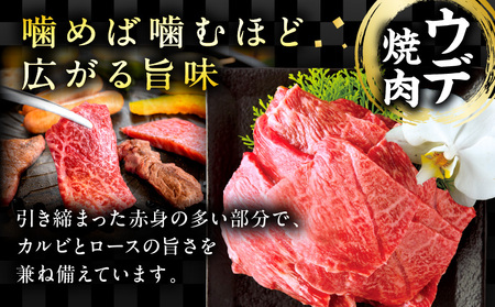 宮崎牛ウデ焼肉400g 宮崎県産黒毛和牛こま切れ100g 宮崎牛 ウデ こま切れ
