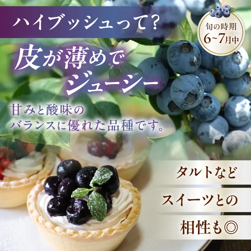 【2027年先行予約】大きく甘い、完熟ハイブッシュブルーベリー 1kg（250g×4パック） [h186]