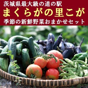 道の駅まくらがの里こが　季節の新鮮野菜おまかせセット_BQ02