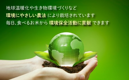 【令和7年産】【12ヶ月定期便】こしひかり 30kg × 12回 計360kg（白米）「エコファーマー米」－水のまちのお米－[Q-003002]