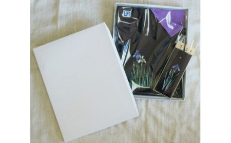 天然藍染小物セット ポーチ・手描きしおり(アヤメ柄)  工芸品 工芸品 工芸品 工芸品 工芸品 I11 