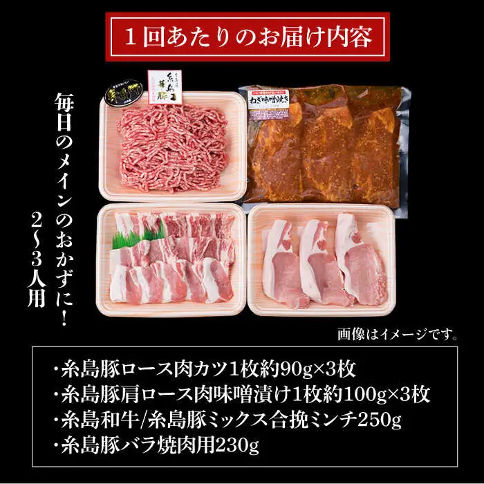 【全12回定期便】毎日のメインのおかずを彩る精肉セット 1,050g 2-3人前 4種 糸島市/糸島ミートデリ工房[ACA203]