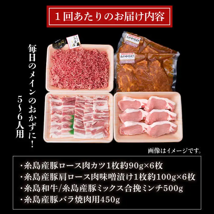 【使いやすい豚肉＆牛肉セット】毎日のメインのおかずを彩る 精肉 セット 4種 計約2kg 5-6人前 糸島市/糸島ミートデリ工房[ACA204]