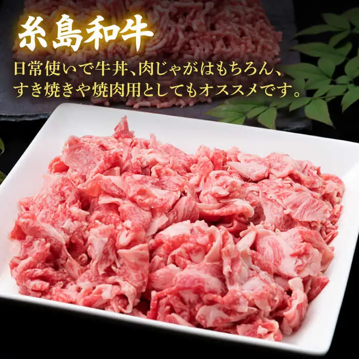 【牛肉＆豚肉セット】 糸島和牛 小間切れ 500g ＆ 糸島和牛 糸島豚 合挽ミンチ 500g 計1kg 糸島市/糸島ミートデリ工房[ACA236]