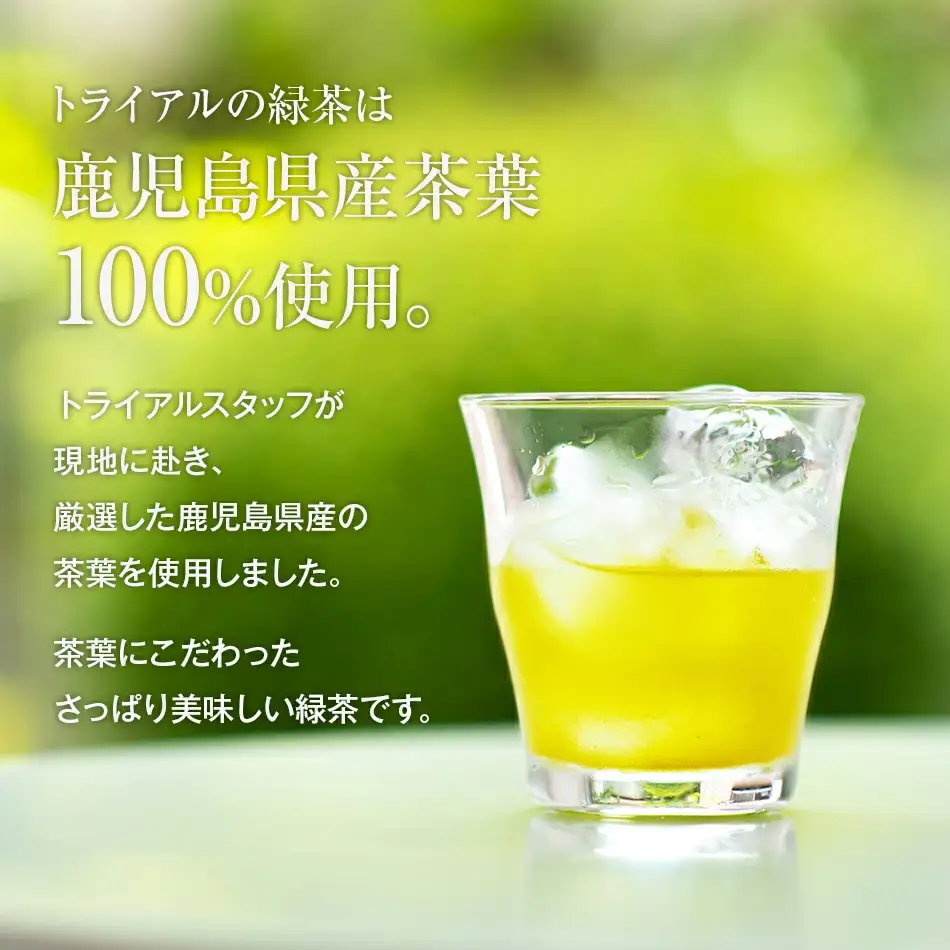 お茶 飲み比べセット 2L 12本 緑茶 烏龍 ペットボトル お茶