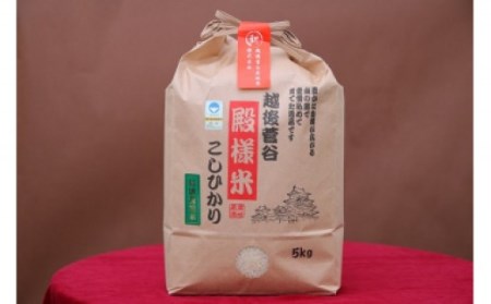 【定期便】 令和5年産 越後菅谷殿様米 5㎏×6ヵ月　【 新潟県 新潟産 新発田産 米 コシヒカリ 特別栽培米 越後菅谷米販売 5kg 6ヵ月 定期便 殿様 数量限定 D16_01 】